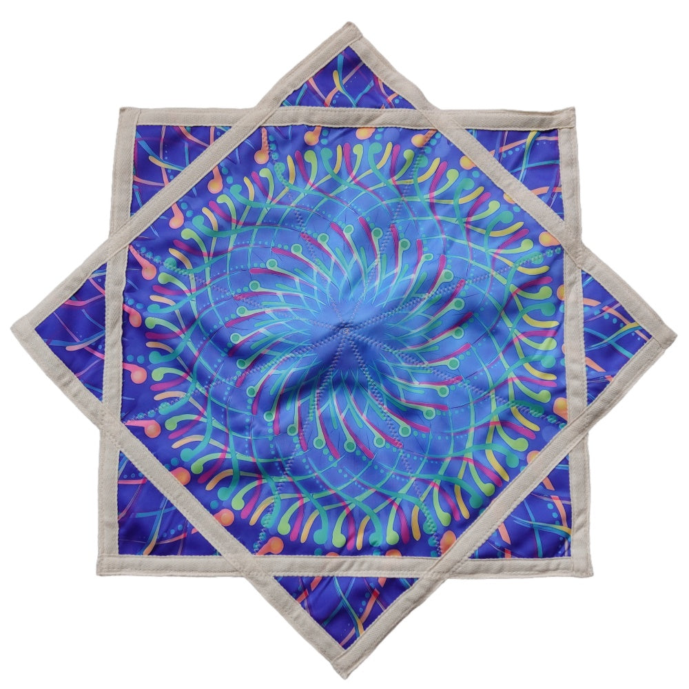 AB double-sided different printing patterns outdoor flying toy flowstar blue